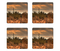 Dramatic Shady Desert Coaster Set Of Four