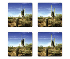 Cactus Spined Leaves Coaster Set Of Four