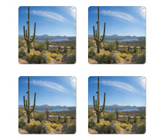 Cactus on the Valley Coaster Set Of Four