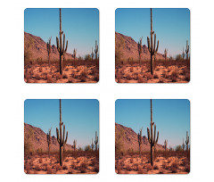 Spines Hardy Plants Coaster Set Of Four