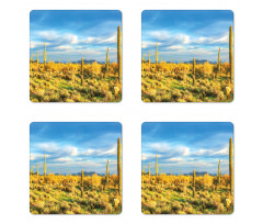 Western Cactus Spikes Coaster Set Of Four