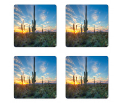 Cactus Noon Coaster Set Of Four