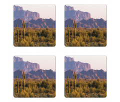 Cactus Mountain in Spring Coaster Set Of Four