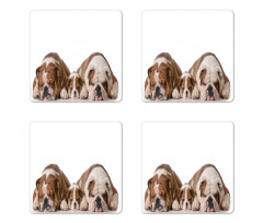 Image of 3 Generations Dogs Coaster Set Of Four