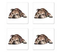 Single Hand Drawn Bulldog Coaster Set Of Four