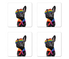 Proud Gay Pet Posing Funny Coaster Set Of Four