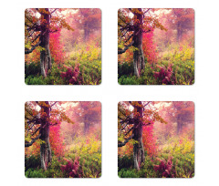 Majestic Autumn Trees Coaster Set Of Four