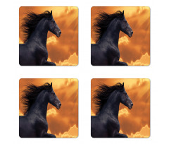 Galloping Friesian Horse Coaster Set Of Four