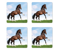 Horse Pacing on Grass Coaster Set Of Four