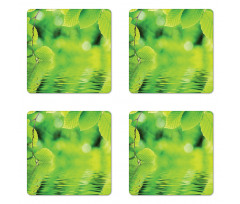 Leaves and River Peace Coaster Set Of Four