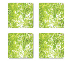 Nature Summertime Green Coaster Set Of Four