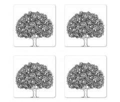 Engraved Style Apple Tree Coaster Set Of Four