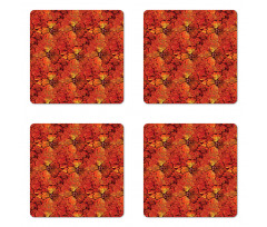 Grungy Flower Romantic Coaster Set Of Four