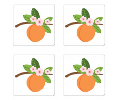 Fruit Branch with Flowers Coaster Set Of Four