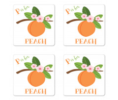 Learning P is for Peach Fruit Coaster Set Of Four