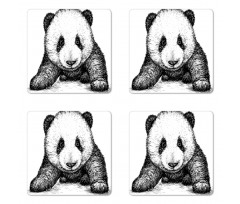 Baby Panda Bear Sketch Coaster Set Of Four