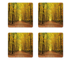 Pathway into the Forest Coaster Set Of Four