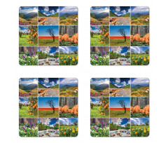 Springtime Countryside Coaster Set Of Four