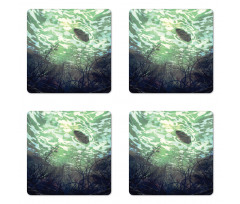 Underwater World Art Coaster Set Of Four