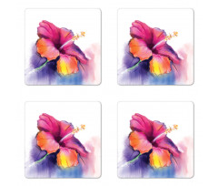 Hibiscus Flower Pastel Coaster Set Of Four