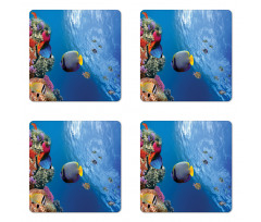 Underwater Fish Sea Coaster Set Of Four