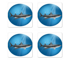 Shark Underwater Hunter Coaster Set Of Four