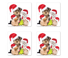 Christmas Theme Pets Coaster Set Of Four