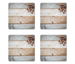 Acorns and Cons Timber Coaster Set Of Four