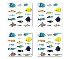 Marine Life Creatures Coaster Set Of Four