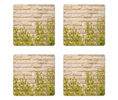 Brick Wall with Leaf Coaster Set Of Four