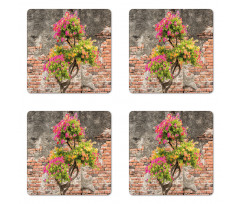 Flourishing Tree Wall Coaster Set Of Four