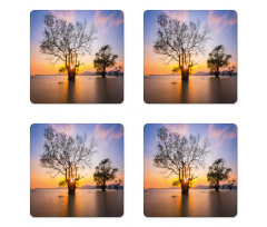 Autumn Trees View Habitat Coaster Set Of Four