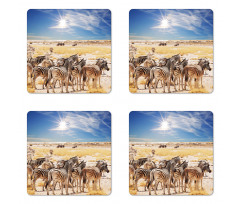 Africa Safari Park Coaster Set Of Four