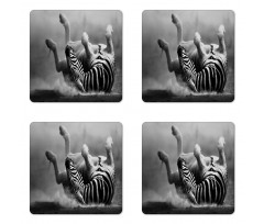 Savage Zebra Striped Coaster Set Of Four