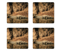 Crocodile Hunt in Wild Coaster Set Of Four