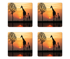 Giraffe in Wild Forest Coaster Set Of Four