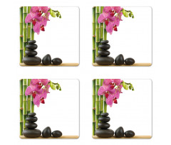 Pink Orchid and Bamboos Coaster Set Of Four