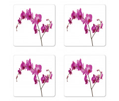 Wild Orchids Petals Coaster Set Of Four