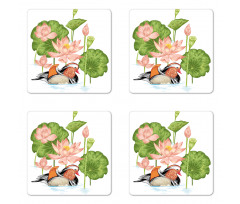 Mandarin in Pond Coaster Set Of Four