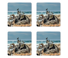 Driftwood Shore Seagull Coaster Set Of Four