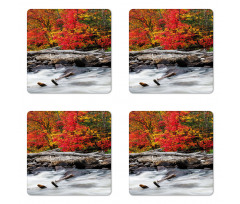 Fall Forest Driftwood Coaster Set Of Four