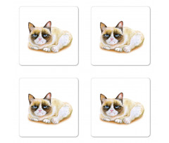 Grumpy Angry Cat Love Coaster Set Of Four