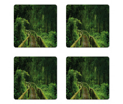 Tropical Thailand Forest Coaster Set Of Four