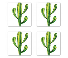 Mexican Cartoon Cactus Coaster Set Of Four