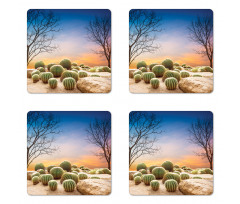 Cactus Balls on Mountain Coaster Set Of Four