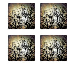 Grunge Branches Twilight Coaster Set Of Four