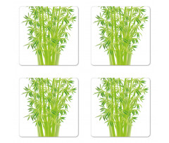 Bamboo Stems with Leaves Coaster Set Of Four