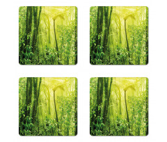 Tropical Amazon Forest Coaster Set Of Four