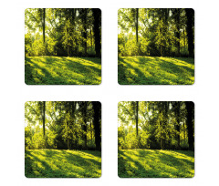 Rising Sun Beams Forest Coaster Set Of Four