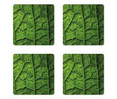 Forest Tree Leaf Texture Coaster Set Of Four